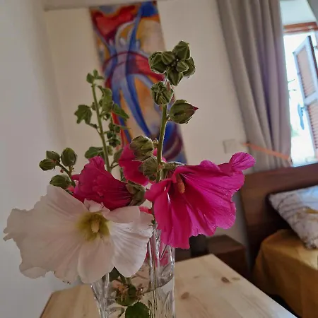 The Rock House - Beautiful Countryside With Mandarins Oranges And Olive Trees,. Near Limassol At Eptagonia Village. Ephtagonia