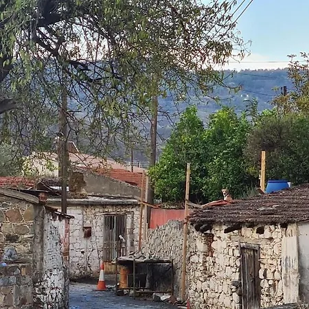 The Rock House - Beautiful Countryside With Mandarins Oranges And Olive Trees,. Near Limassol At Eptagonia Village. Feriehus *