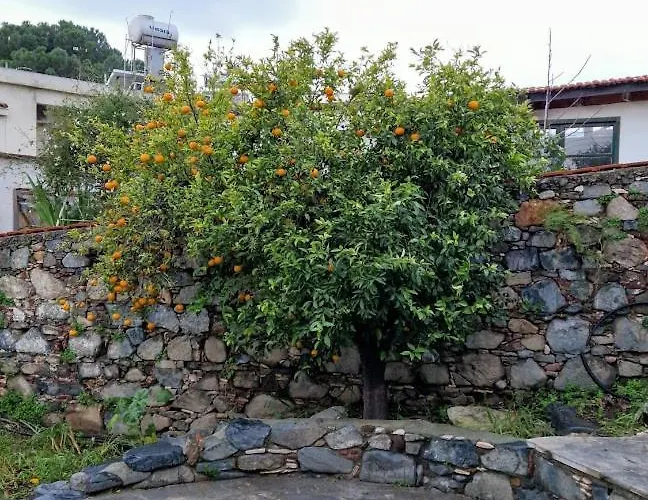 Semesterbostad The Rock House - Beautiful Countryside With Mandarins Oranges And Olive Trees,. Near Limassol At Eptagonia Village. Ephtagonia