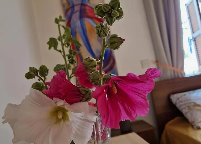 The Rock House - Beautiful Countryside With Mandarins Oranges And Olive Trees,. Near Limassol At Eptagonia Village. Ephtagonia