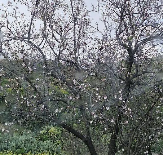 Semesterbostad The Rock House - Beautiful Countryside With Mandarins Oranges And Olive Trees,. Near Limassol At Eptagonia Village. *