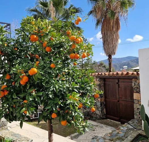 The Rock House - Beautiful Countryside With Mandarins Oranges And Olive Trees,. Near Limassol At Eptagonia Village. Semesterbostad *