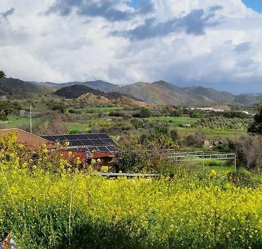 Feriehus The Rock House - Beautiful Countryside With Mandarins Oranges And Olive Trees,. Near Limassol At Eptagonia Village.